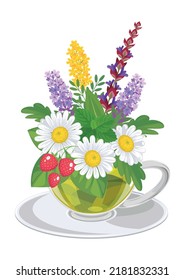 A cup of tea with medicinal herbs: chamomile, sage, thyme, wild strawberry, leaves and flowers. Beautiful herbal tea concept. Isolated object, symbol, sign for packaging, labels. Poster, postcard