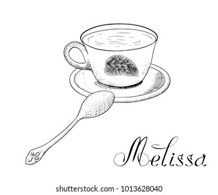 Cup of tea with melissa. On the side of cup is leaf of melissa plant.