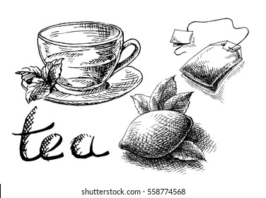 Cup of tea and mint and tea bag in graphic style, hand-drawn vector illustration.