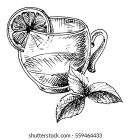 Cup of tea and mint and in graphic style, hand-drawn vector illustration.
