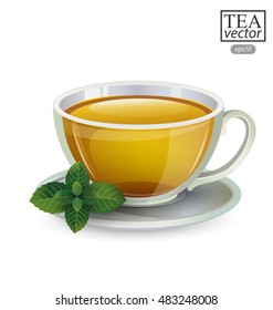 Cup of tea with mint isolated on white background. Vector illustration.
