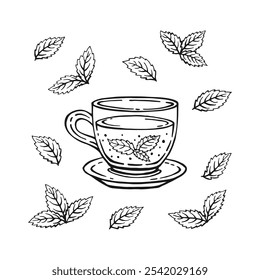 Cup of tea with mint leaves. Hand drawn vector illustration in outline style.