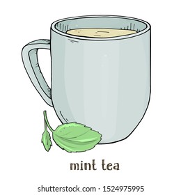 Cup of tea with mint leaves on white background. Colorful vector illustration in sketch style.