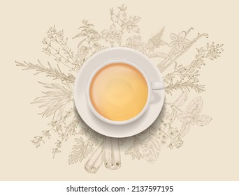 A cup of tea on the background of an image of herbs and spices. Useful, medicinal, herbal tea. 
Vector for design.