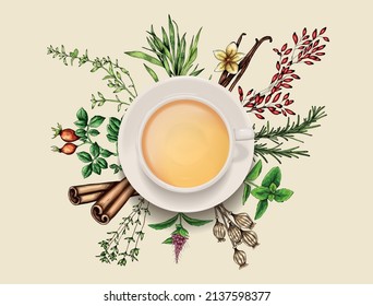 A cup of tea on the background of an image of herbs and spices. Useful, medicinal, herbal tea. 
Vector for design.