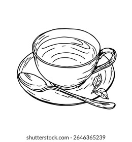 Cup of tea on a saucer and mint and tea tree leaves. Vector illustration. A mug of tea or coffee with spoon, isolated on a white background. Tea party theme, coffee shops, menus, cookbooks and recipes