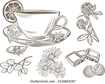 Cup with teaspoon, slices of chocolate, mint and other herbs in vintage style. Vector image