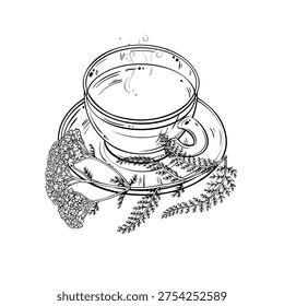 Cup of Yarrow Tea Outline Illustration.