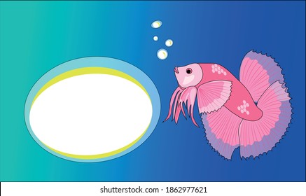 Pescado de Cupang o betta splendens peces jugando burbujas