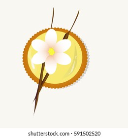 cupcake with chocolate and fruit vector illustration
