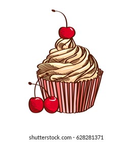 Cupcake With Cream And Cherry, Isolated On White Background, Vector Illustration