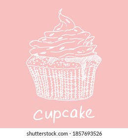 Cupcakes mit Creme in Papier. Neuer Vektor Fast Food