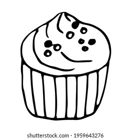 Cupcake with cream, vector illustration, doodle hand drawn