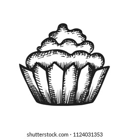 cupcake with cream vector. sketch icon