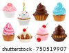 cup cake vector