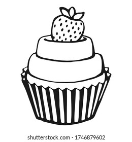 Cupcake. Hand drawn sweets doodle elements. Vector illustration on a white background.