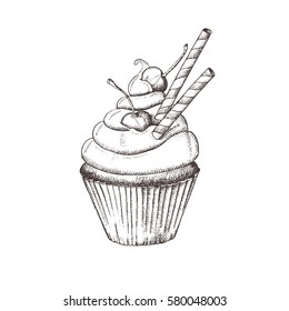 Cupcake hand-drawn with cherries. Sketch. Vector