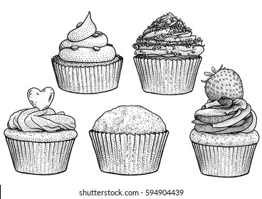 Cupcake illustration, drawing, engraving, ink, line art, vector