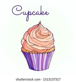 Cupcake in pastel pink and purple colors. Sweet delicious dessert food, yummy pastries. Colorful vector illustration isolated on white background. Hand drawn.