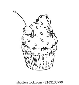 cupcake sketch hand drawn vector birthday food, rainbow dessert, delicious cream vintage black line illustration