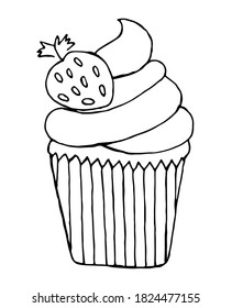 Cupcake with strawberries doodle. Isolated cupcake on white background. Hand drawn.