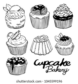 Cupcake vector hand drawn set illustration.
