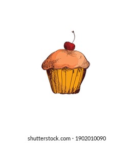 Cupcake vector illustration isolated on white background, cupcake clip art