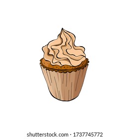 Cupcakes Colorful sweet cakes in vector. For your design. isolated on white background.