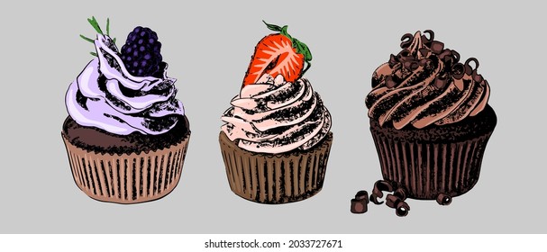 Cupcakes hand-drawn in color on a gray background. Vector