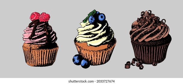 Cupcakes hand-drawn in color on a gray background. Vector