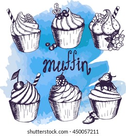 Cupcakes and muffins. Set of hand drawn cakes. Vector illustration with sketch baking. Fresh organic food. Cafe menu. On watercolor background. Elements for menu design. Six object. Blue.