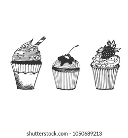 Cupcakes in sketch style, hand drawn vector illustration 