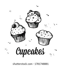 Cupcakes sketch. Sweet bakery. Hand drawn vector illustration isolated on white background. Desserts and sweets menu design for restaurants and shop.