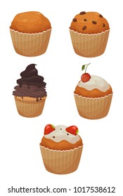 cupcakes vector illustration