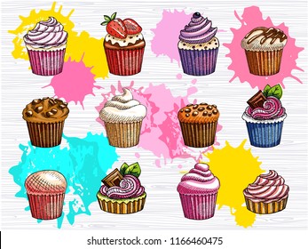 Cupcakes vector set isolated. Colorful cakes collection. Sweet cream, sugar icing, lunch, break time, strawberry, chocolate sprinkles muffin. Hand drawn vector