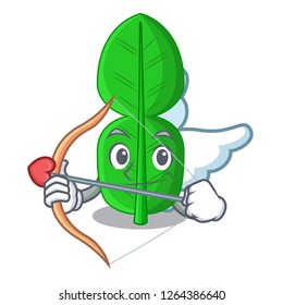 Cupid bergamot lime leaf isolated on mascot