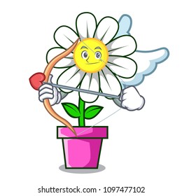 Cupid daisy flower character cartoon