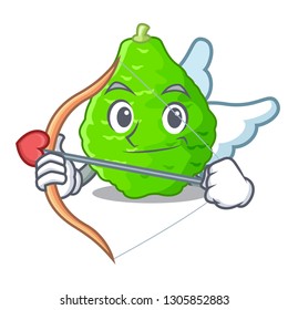 Cupid kaffir lime basket of vegetable mascot