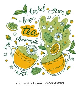 Cups of herbal tea. Cups with tea, floral decoration, lettering. Concept with green tea leaves, mint, lemon, rose