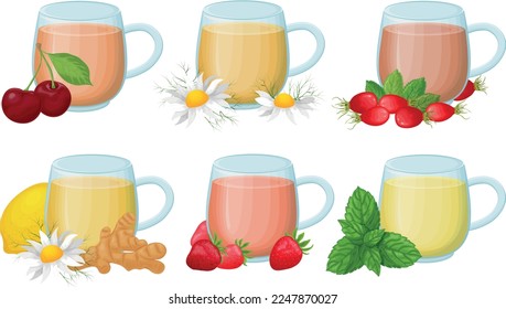 Cups of tea. Glass cups with tea. Fruit and medicinal teas. Hot drinks with cherries, chamomile, ginger, strawberries and also with rosehip and mint. Vector illustration
