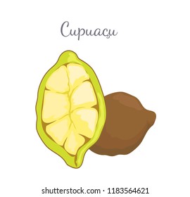 Cupuacu exotic cupuassu, cupuazu and copoasu, tropical rainforest fruit whole and cut related to cacao vector. Dieting vegetarian icon, edible food