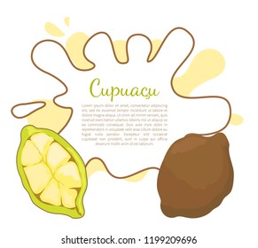 Cupuacu exotic cupuassu, cupuazu and copoasu, tropical rainforest fruit related to cacao vector poster frame and text. Dieting vegetarian icon, edible