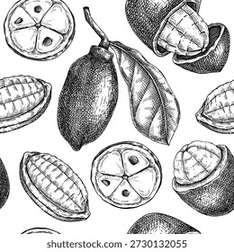 Cupuacu seamless pattern. Tropical plant sketch. Exotic fruit background. Hand drawn vector illustration. Amazonian food drawing. NOT AI generated