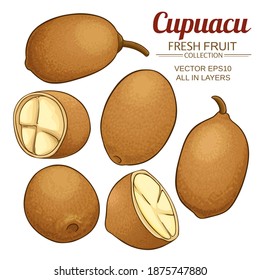 cupuacu vector set on white background