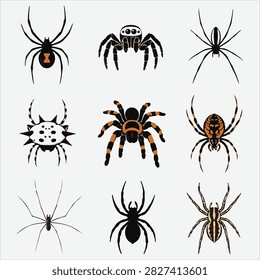 A curated set of arachnid illustrations showcasing varied anatomy and textures for editorial or educational use.