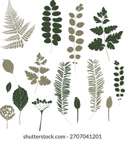 Um conjunto curado de elementos botânicos desenhados à mão, incluindo samambaias, folhas ovais, folhagem de agulha, botões, bagas e caules florais. Projetado em estilo vetorial limpo com silhuetas mistas e detalhes de linha. Su