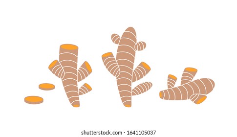 Curcuma logo. Isolated curcuma on white background