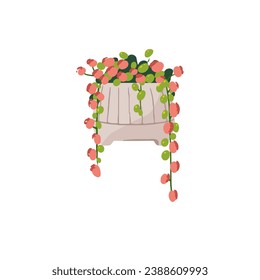 Curio rowleyanus in pot. Hanging houseplant with little leaves, pink bloom. String of pearl potted plant. Home flower, interior decoration. Flat isolated vector illustration on white background