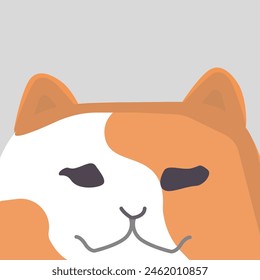 Curioso gato casi lleno de naranja con acentos blancos puros. Gato con acentos blancos puros curioso casi lleno de naranja