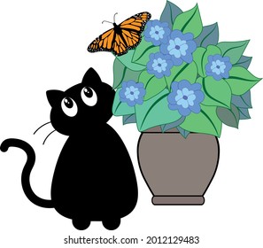 Curious black cat behind a plant looking at an orange butterfly